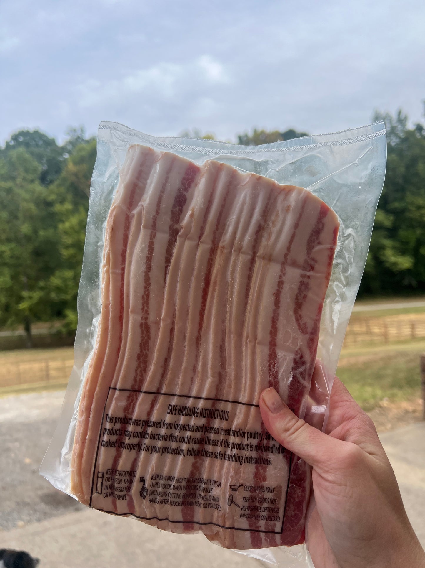 Pork Bacon