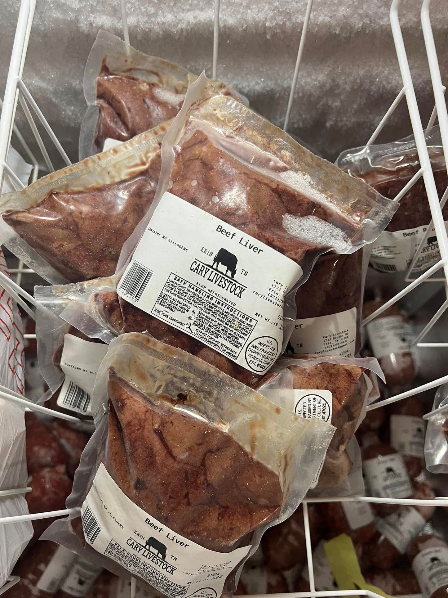 Liver