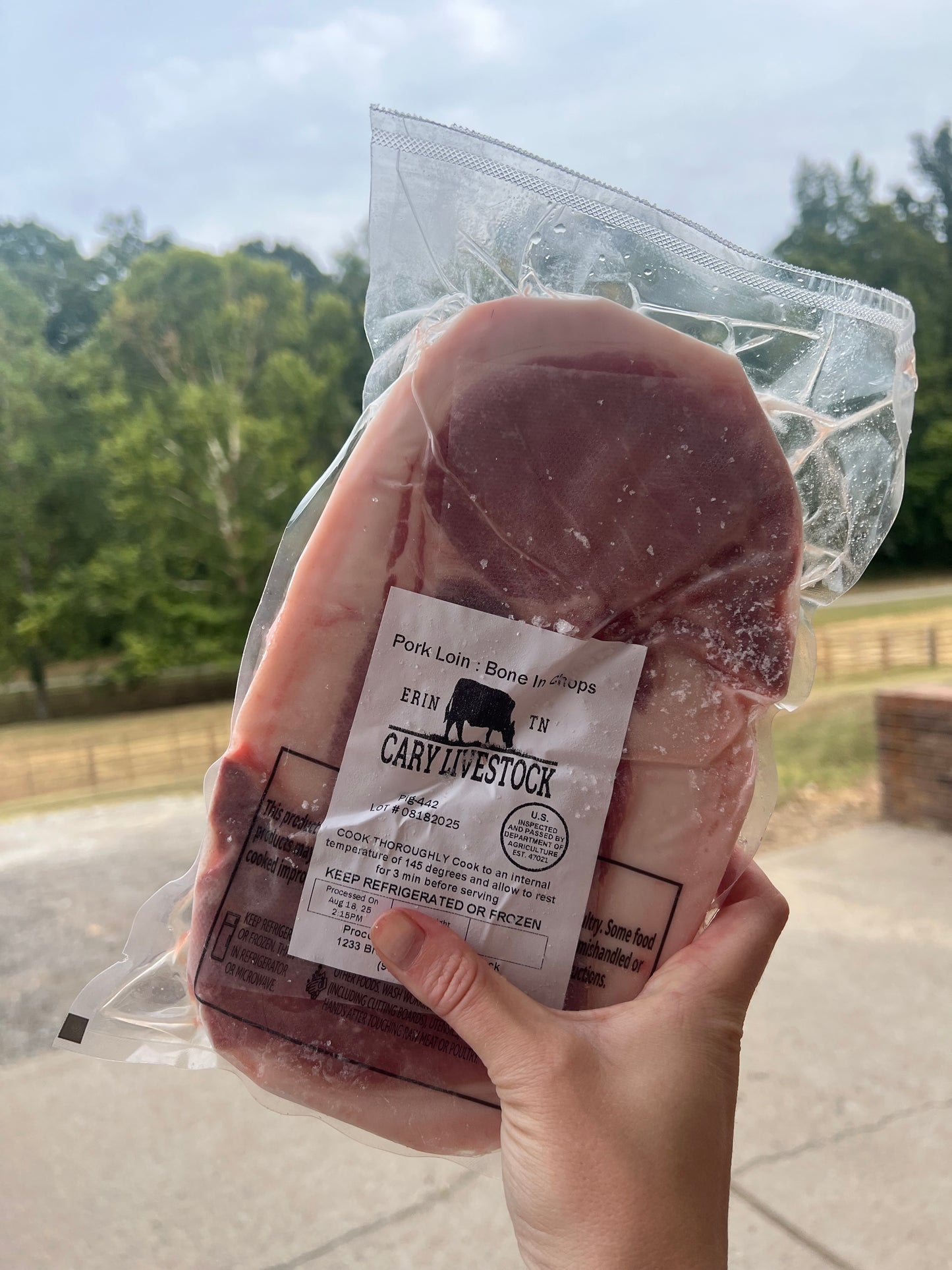 Bone-In Pork Chops